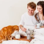 tento-zvyk-kocky-pri-jidle-muze-byt-nebezpecny-veterinar-vysvetluje.webp.webp
